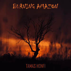 Burning Amazon single