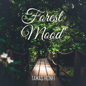 Forest Mood single